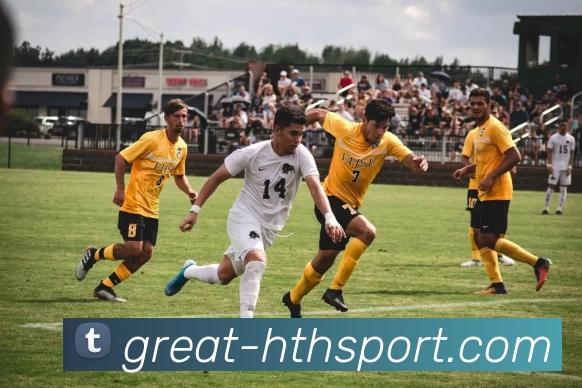 App Interface Preview